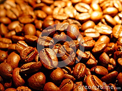 Coffee beans Stock Photo