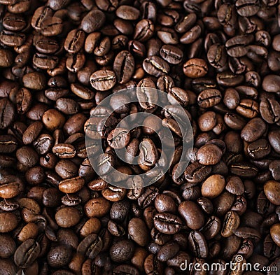 Coffee beans background. Background of roasted coffee beans Stock Photo