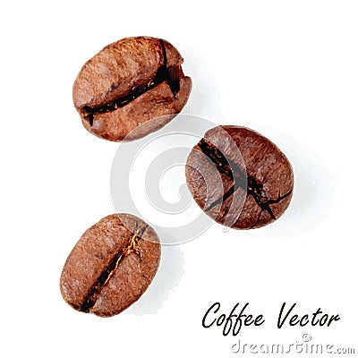 Coffee beans. Delicious drink. Isolated . vector file Vector Illustration