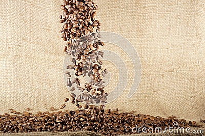Coffee beans falling down on sack background Stock Photo