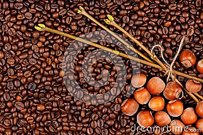 Coffee beans and filberts Stock Photo