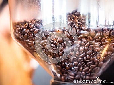 Coffee beans Stock Photo