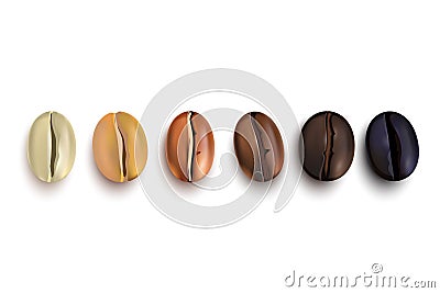 Coffee Beans Roast Stages Vector Illustration
