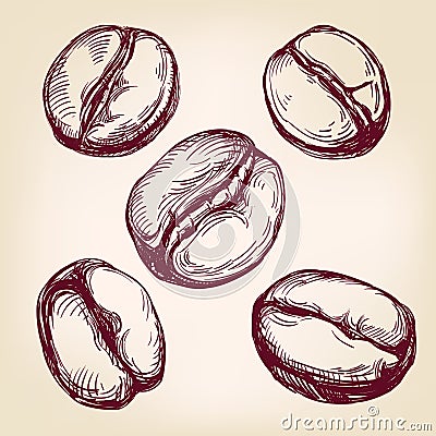 Coffee beans set hand drawn vector llustration sketch Vector Illustration