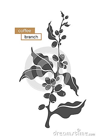 Coffee branch with leaves and beans. Vector Illustration
