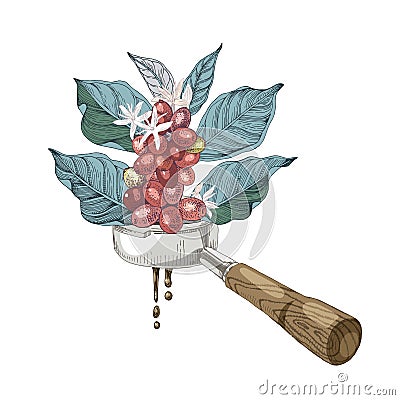 Coffee branch into the portafilter Vector Illustration