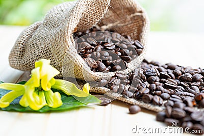 Coffee brown bean medium roasted on sack Stock Photo