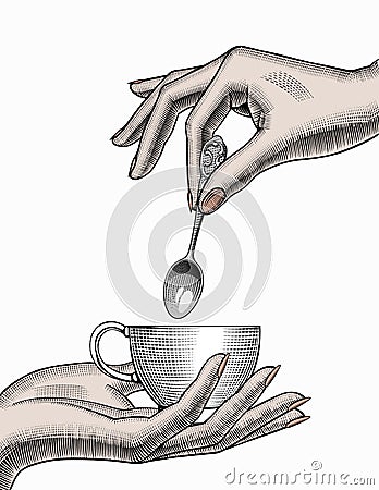 Coffee collection. Hands holding a cup of coffee and coffee spoon Vector Illustration