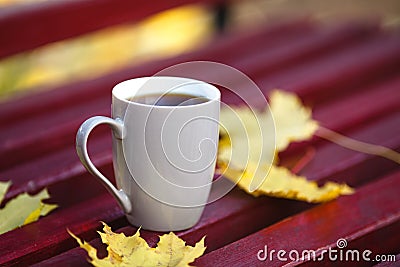 Coffee in a cup. On a beautiful bench in autumn park Stock Photo