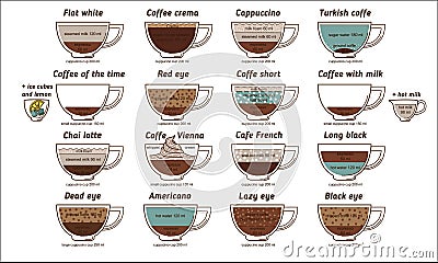 Coffee diagram vector hand drawn menu card for coffee shop. Flat Vector Illustration