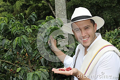 Coffee farmer in the fields Stock Photo