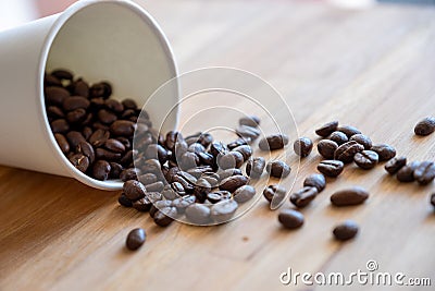 Coffee filter used for american coffee machine on green background with mockup space Stock Photo
