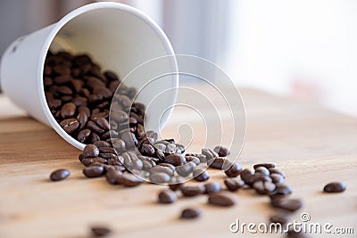 Coffee filter used for american coffee machine on green background with mockup space Stock Photo