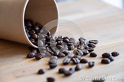 Coffee filter used for american coffee machine on green background with mockup space Stock Photo