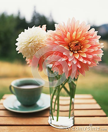 coffee-flowers-753371.jpg