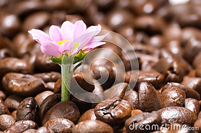 Coffee gives vitality Stock Photo