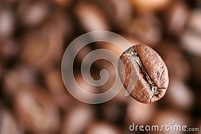 Coffee grain Stock Photo