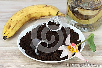 Coffee grounds from espresso coffee capsules and banana peels for better growing Stock Photo