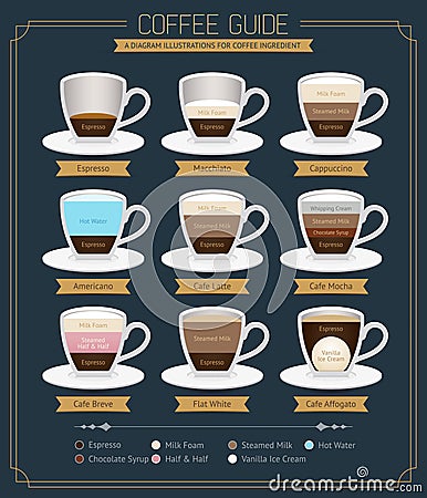 Coffee Guide Diagram. Vector Illustration