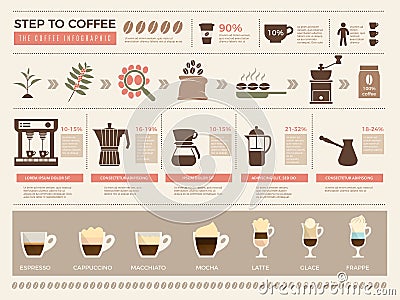Coffee infographic. Processes stages of coffee production press machine grains espresso drink cups vector template Vector Illustration