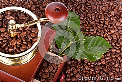 Coffee mill and coffee beans Stock Photo