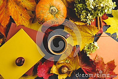 Coffee mug, autumn maple leaves, pumpkin and colourful books . Stock Photo