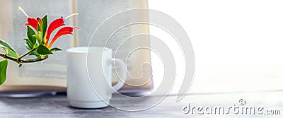 Coffee mug near an open book and a flowerpot in front of the window, panorama, copy space Stock Photo