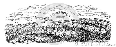 Coffee plantation landscape in graphic style hand-drawn vector. Vector Illustration