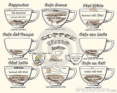 Coffee scheme Vector Illustration