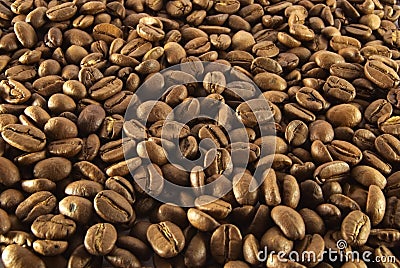 Coffee seed Stock Photo