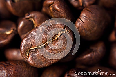 Coffee seed Stock Photo