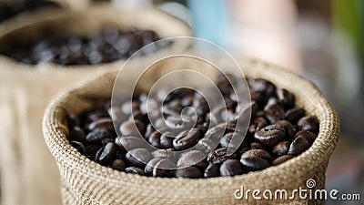 Coffee seed Stock Photo