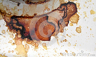 Coffee stains Stock Photo