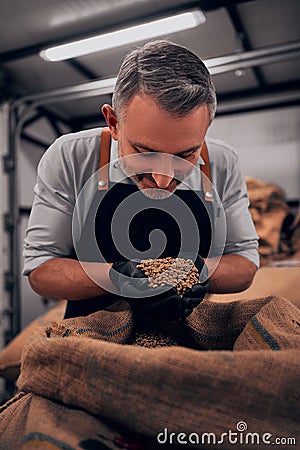 Coffee trader takes a handful of fresh roastery coffee beans to check the quality. Vertical photo Stock Photo