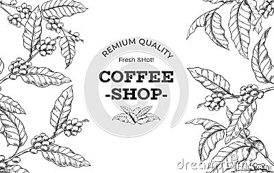 Coffee tree framing. Hand drawn beans and plant branches for morning drink package. Cafeteria or shop organic Arabica Vector Illustration