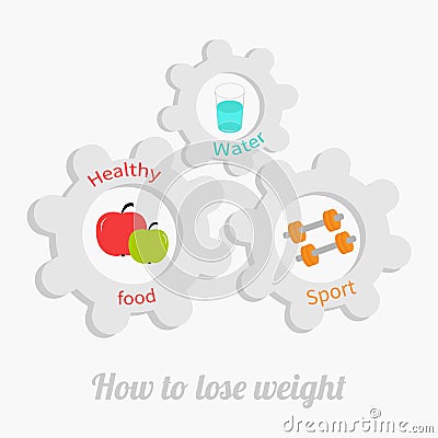 Cogwheel gear set with water, apple, dumbell. Healthy lifestyle concept. How to lose weight Flat design Vector Illustration