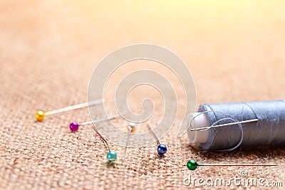 Coil thread with a needle stuck in it next to the tailor pins on Stock Photo