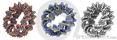 Coiled DNA molecule Stock Photo