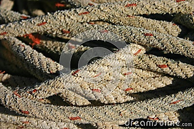 Coiled Rope Stock Photo