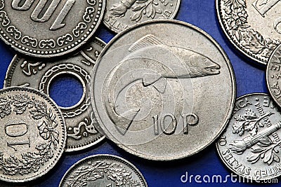 Coins of Ireland Stock Photo