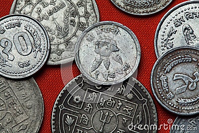 Coins of Nepal. Rhododendron flower Stock Photo