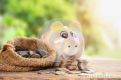 Coins in sack and piggy bank for money saving financial Stock Photo