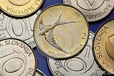 Coins of Slovenia Stock Photo