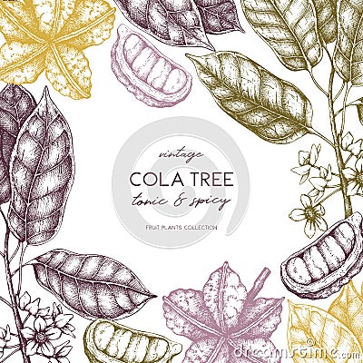 Vector Cola tree vintage sketch. Vintage design with hand drawn with leaves, flowers, fruits and seeds. Botanical frame template. Cartoon Illustration