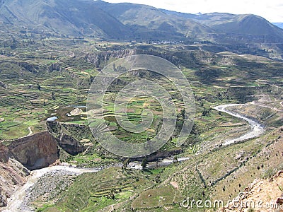 Colca Canyon Stock Photo