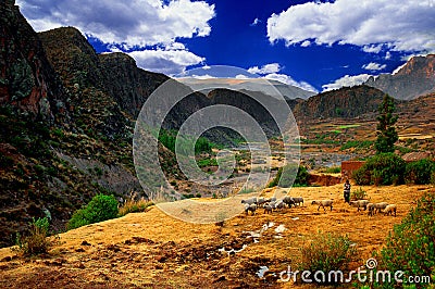 Colca Valley Landscape, Peru Stock Photo