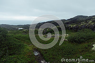 Cold dark green arctic hills with granite rocks with lichen, moss, swamp and grey Arctic Ocean in cloudy weather, arctic landscape Stock Photo