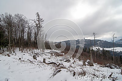 A cold day in the Alps Stock Photo