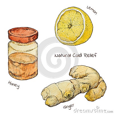 Cold and flu natural relief watercolor set. Vector Illustration