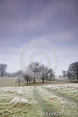 Cold frosty day landscape Stock Photo